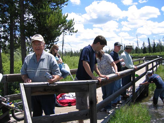 2006 family reunion in Yellowstone National Park